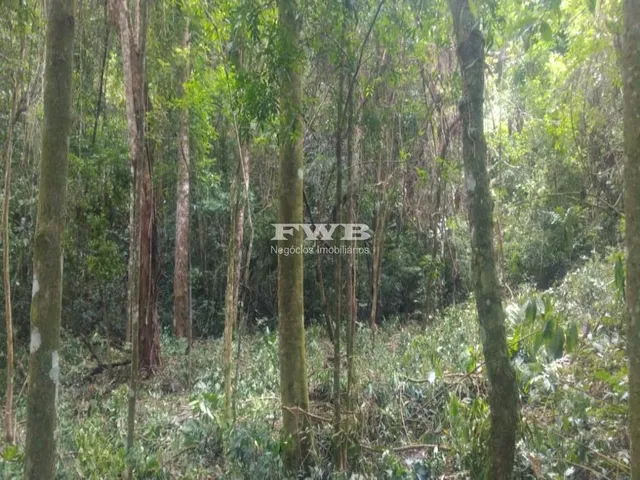 Imagem: 150 MIL M², 3 KM DO CENTRO E AO LADO DO