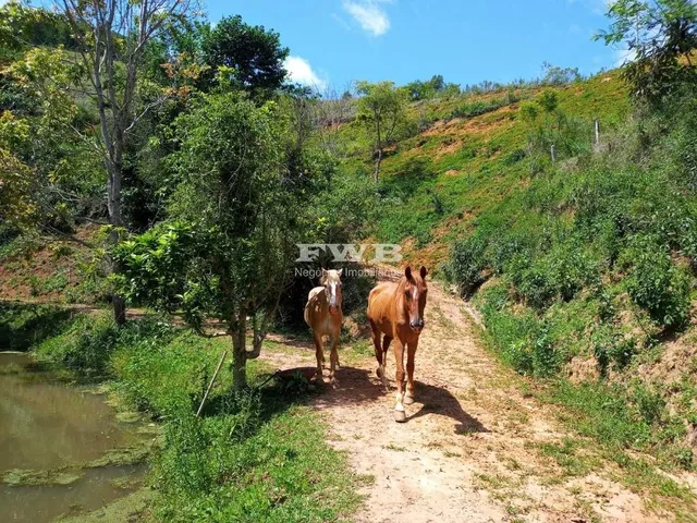 Imagem: TERRENO NO VALE DAS VIDEIRAS, PETROPOLIS