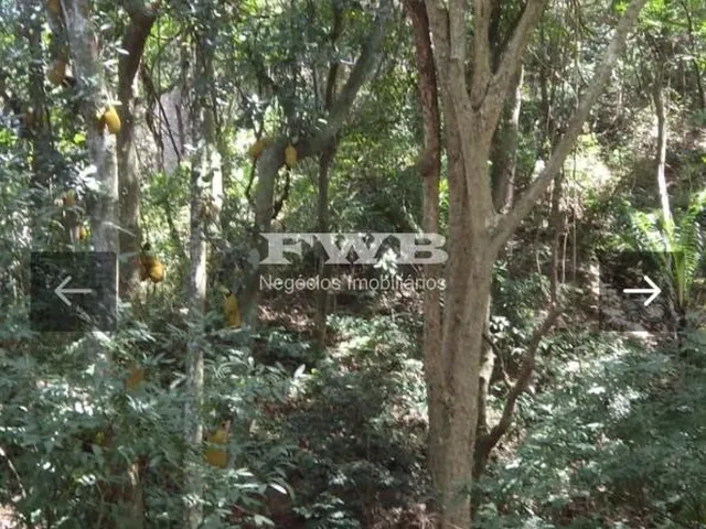 Imagem 16: Estes lotes à venda na Reserva do Itanhangá oferecem uma oportunidade única de possuir