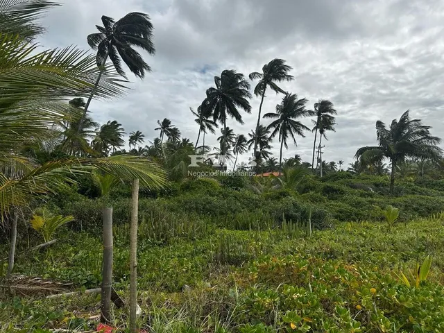 Imagem 3: Explore o potencial de investimento em um terreno de 9.416,06 m² na deslumbrante