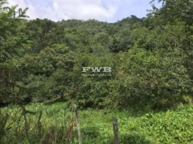 Imagem 3: Sítio com 50 hectares, equivalente a 500.000 m². Composto por casa principal, cabana