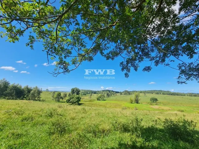 Imagem: Vende-se fazenda com 52 hectares com localização