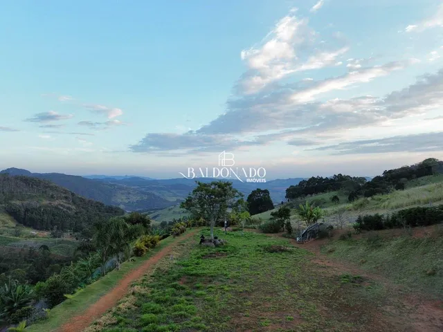 Imagem: Terreno a Venda em Toledo Mg 24.000 Metros