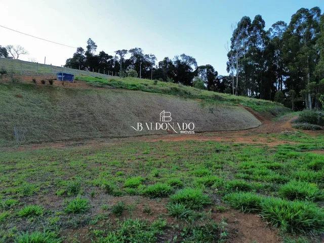 Imagem 3: Terreno a Venda em Toledo Mg 24.000 Metros Ha 7 Km do Centro com Vista Montanhas