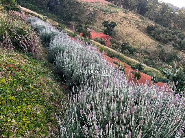 Imagem 8: Terreno a Venda em Toledo Mg 24.000 Metros Ha 7 Km do Centro com Vista Montanhas