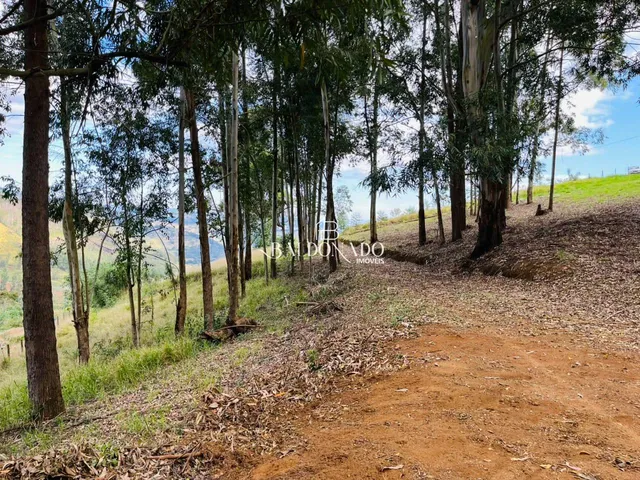 Imagem 14: Terreno a Venda em Toledo Mg 24.000 Metros Ha 7 Km do Centro com Vista Montanhas