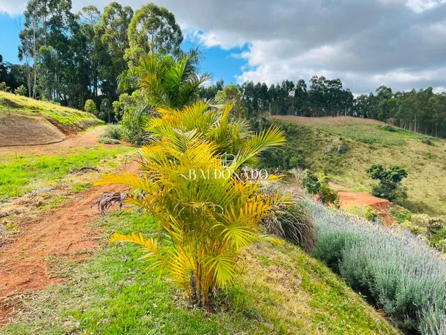 Imagem 16: Terreno a Venda em Toledo Mg 24.000 Metros Ha 7 Km do Centro com Vista Montanhas