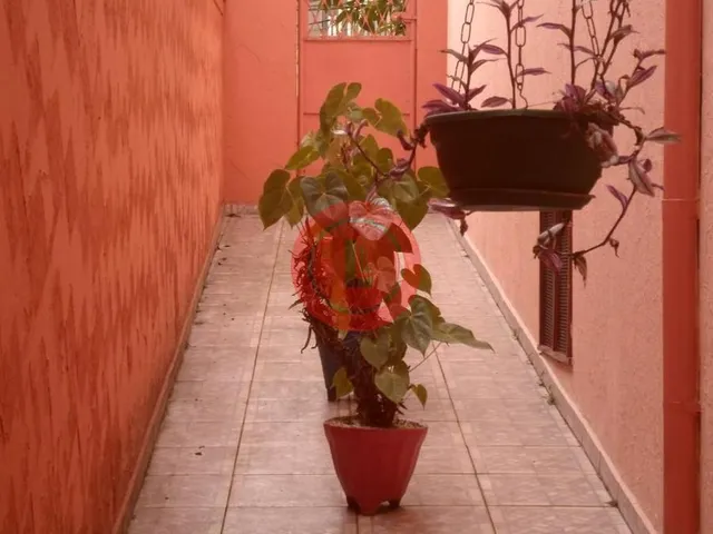 Imagem 8: 0 Casa com 4 dormitórios