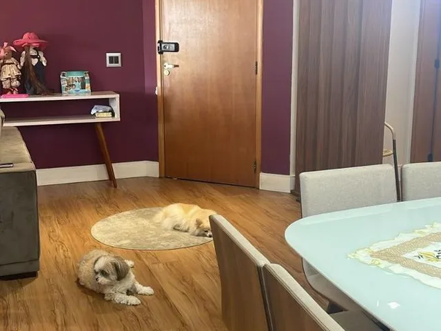 Imagem 11: Apartamento à venda 3 Suítes, 2 vagas no Cond. Morada dos Clássicos em Santo