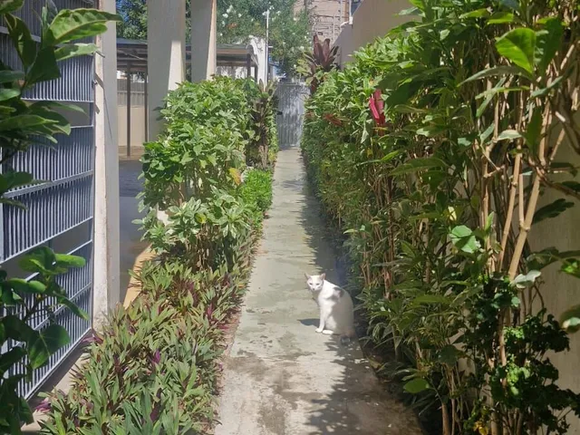 Imagem 10: 3/4 com suites em Vilas do Atlântico
