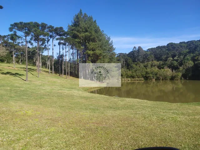 Imagem: Terreno para casa de campo em Campo Alegre/SC