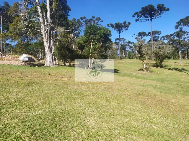 Imagem 5: Terreno para casa de campo em Campo Alegre/SC, condominio fechado, escriturado