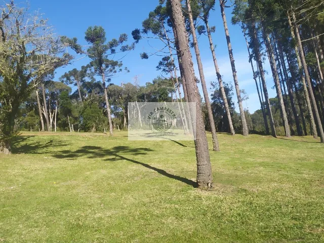 Imagem 3: Terreno para casa de campo em Campo Alegre/SC, condominio fechado, escriturado