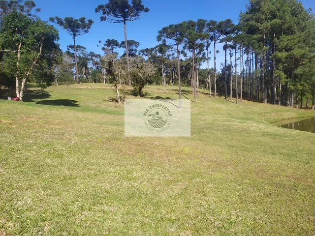 Imagem 9: Terreno para casa de campo em Campo Alegre/SC, condominio fechado, escriturado