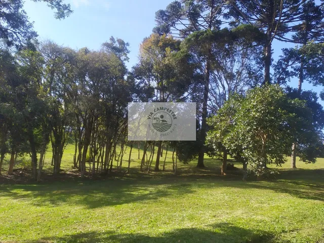 Imagem 10: Terreno para casa de campo em Campo Alegre/SC, condominio fechado, escriturado