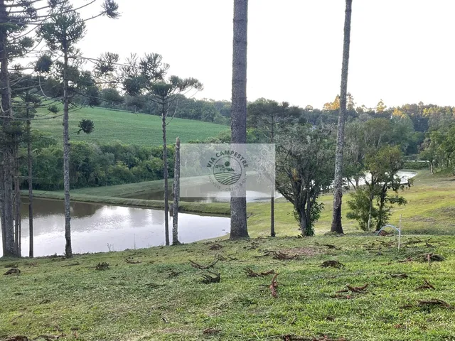 Imagem 6: Terreno para casa de campo em Campo Alegre/SC, condominio fechado, escriturado