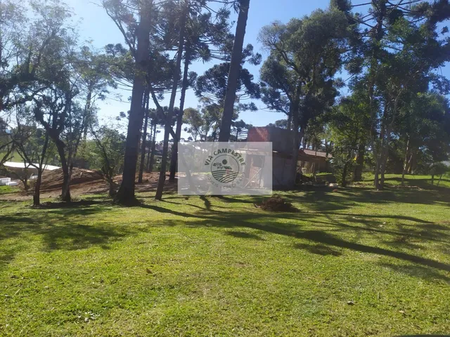 Imagem 2: Terreno para casa de campo em Campo Alegre/SC, condominio fechado, escriturado