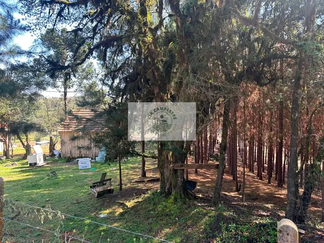 Imagem: Terreno para sitio, frente para o asfalto