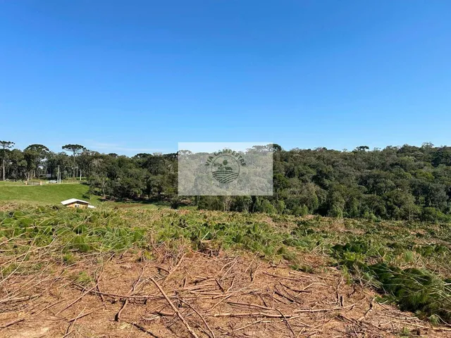 Imagem 7: Terreno para sitio, frente para o asfalto, escriturado, com lago
