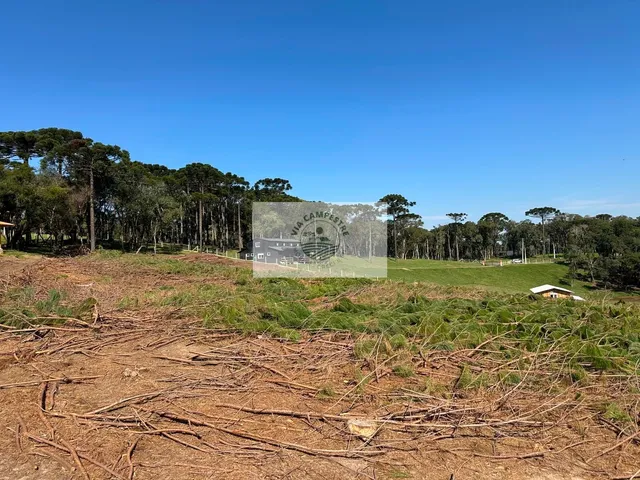 Imagem 8: Terreno para sitio, frente para o asfalto, escriturado, com lago