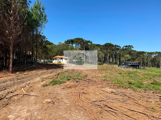 Imagem 6: Terreno para sitio, frente para o asfalto, escriturado, com lago