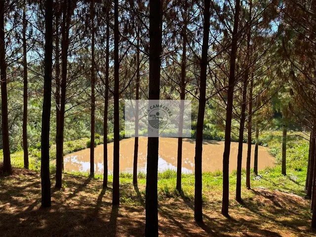 Imagem 5: Terreno para sitio, frente para o asfalto, escriturado, com lago