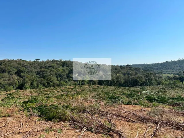 Imagem 3: Terreno para sitio, frente para o asfalto, escriturado, com lago