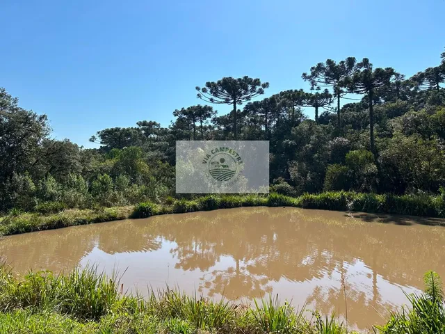 Imagem: Sitio com frente para o asfalto, escriturado