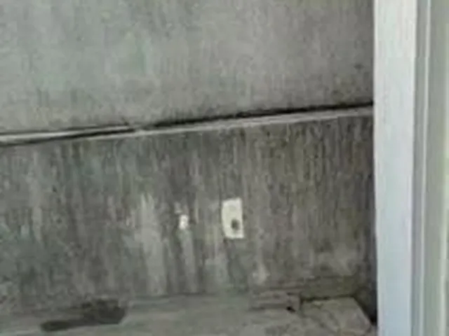 Imagem 9: 0 Loja com 3 vagas na garagem