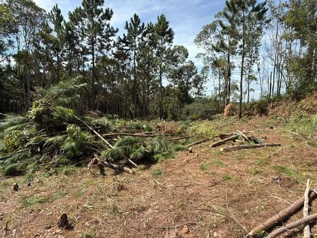 Imagem: Lotes de 5.000m² à venda em Suzano Pronto