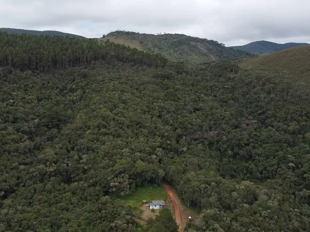 Imagem: Fazenda à Venda no CHARCO, Delfim Moreira