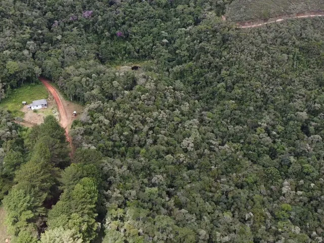 Imagem 13: Fazenda à Venda no CHARCO, Delfim Moreira MG - 240 Ha, Madeira (Pinus/Eucalipto) e