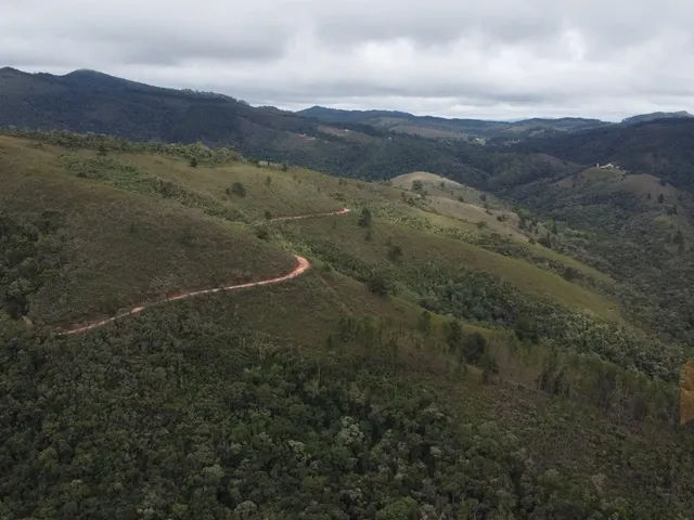 Imagem 2: Fazenda à Venda no CHARCO, Delfim Moreira MG - 240 Ha, Madeira (Pinus/Eucalipto) e