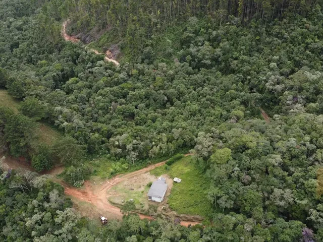 Imagem 6: Fazenda à Venda no CHARCO, Delfim Moreira MG - 240 Ha, Madeira (Pinus/Eucalipto) e