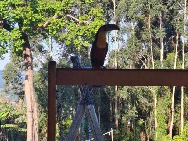 Imagem 11: Sítio em Centro, Poços de Caldas/MG