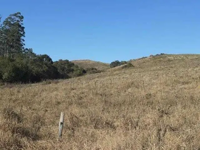 Imagem 9: Fazenda à venda em Caldas/MG