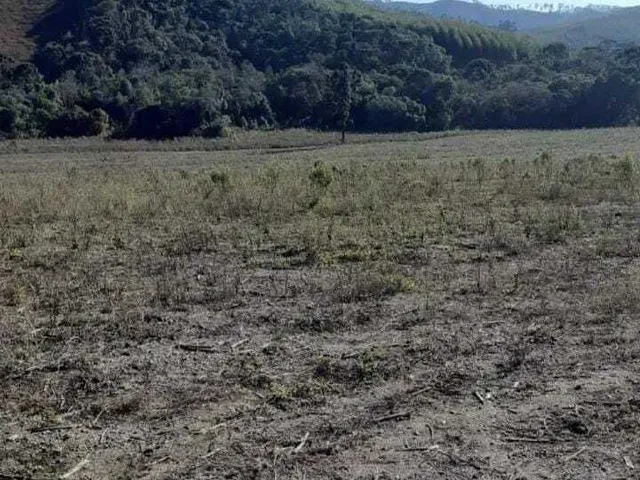 Imagem 7: Fazenda à venda em Caldas/MG