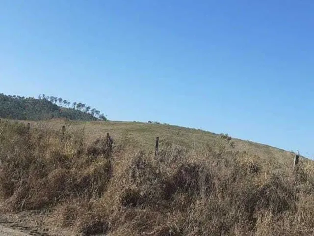 Imagem 3: Fazenda à venda em Caldas/MG