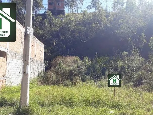 Imagem: