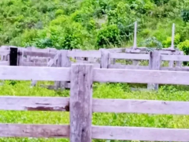 Imagem 6: 0 Fazenda / sítio com venda por R$8.000.000