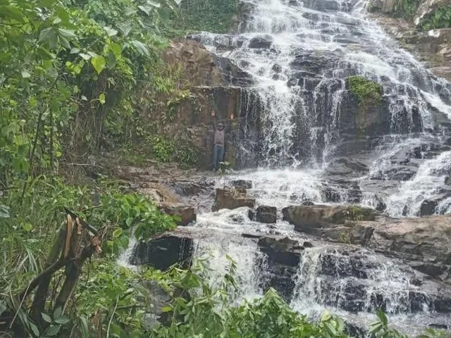 Imagem 2: 0 Fazenda / sítio com venda por R$8.000.000