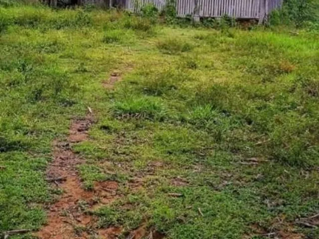 Imagem 8: 0 Fazenda / sítio com venda por R$8.000.000