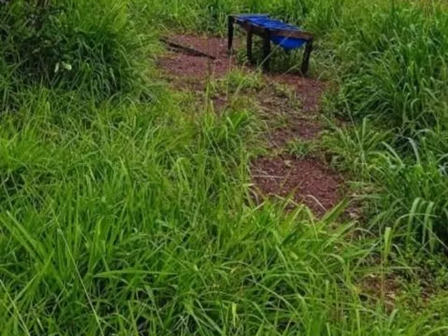 Imagem 5: 0 Fazenda / sítio com venda por R$8.000.000