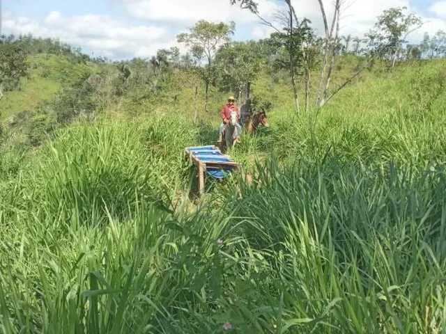 Imagem 3: 0 Fazenda / sítio com venda por R$8.000.000