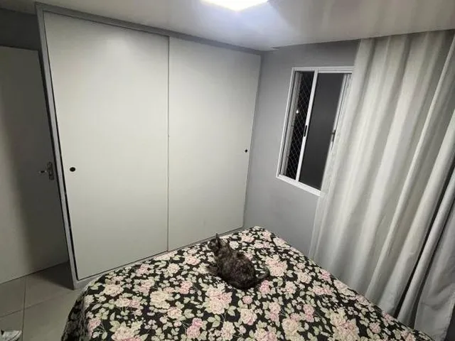 Imagem 6: 0 Apartamento com 2 dormitórios