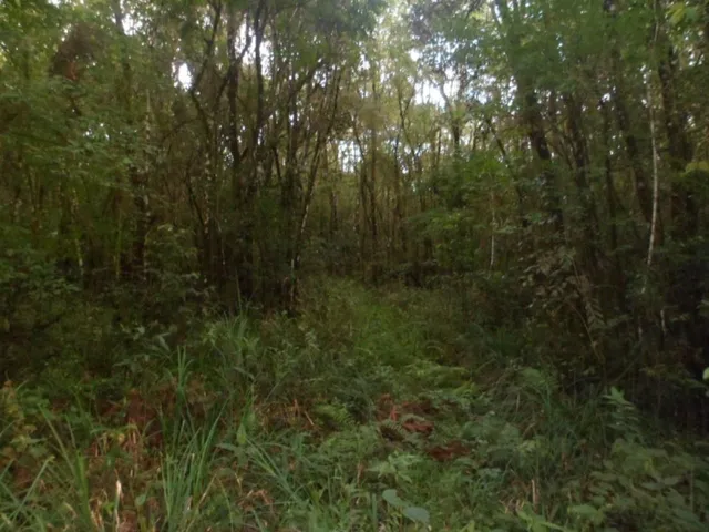 Imagem: Chácara C/Área de 148.873,82 M2 ( 6,15