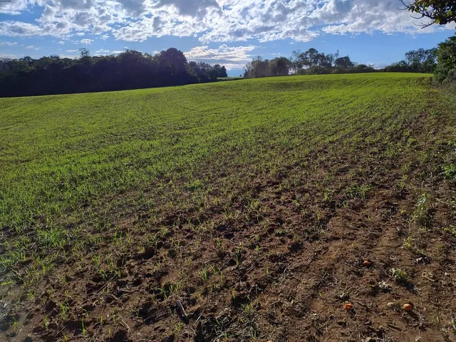 Imagem: TERRENO COM 34.613,47 m2 DE ÁREA! Excelente