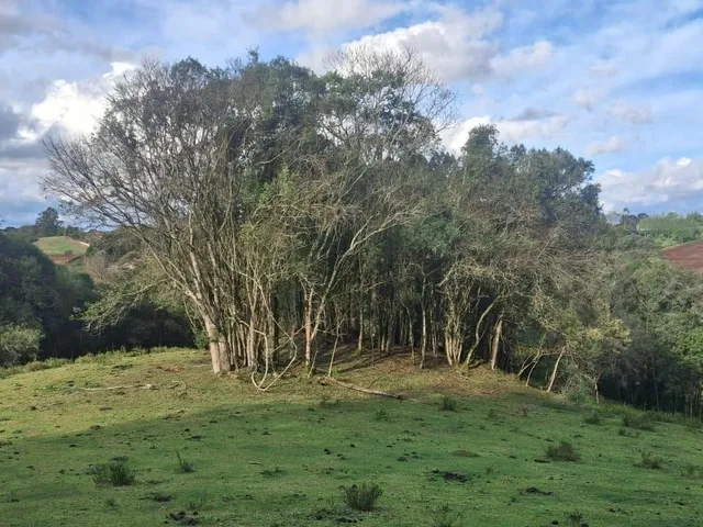 Imagem: Área rural à venda na região do Fazendinha