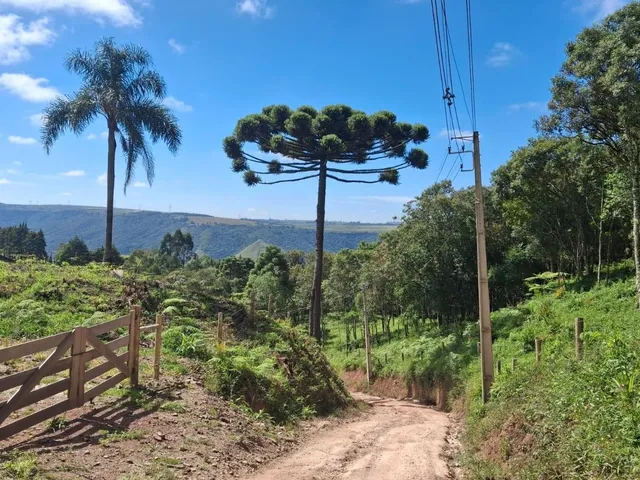 Imagem: Terreno rural, medindo 43.033,00m², localizado