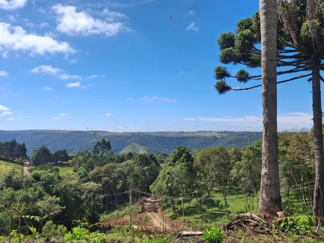 Imagem: Terreno rural, medindo 12.137,00m², localizado